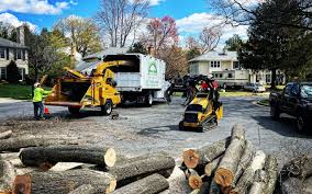 Best Tree Mulching Services  in Morgan Hill, PA