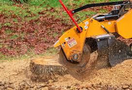 Best Leaf Removal Services  in Morgan Hill, PA